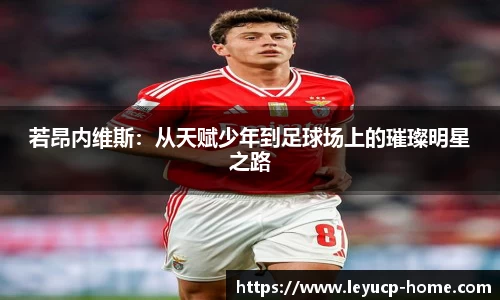 乐鱼彩票官网